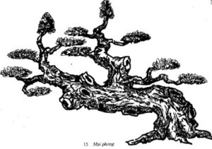 cây cảnh thế mai phong cách