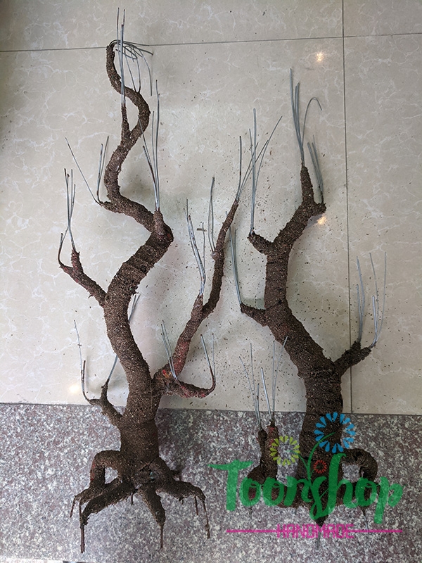 Gốc cây tạo tác phẩm bonsai