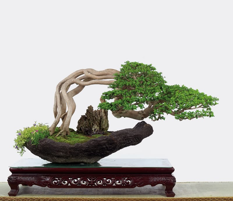 Phân loại kích thước bosai