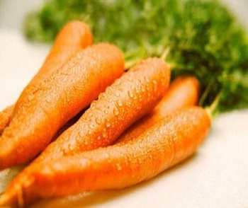 Hướng dẫn trồng, chăm sóc và nơi bán hạt giống Cà rốt Samson